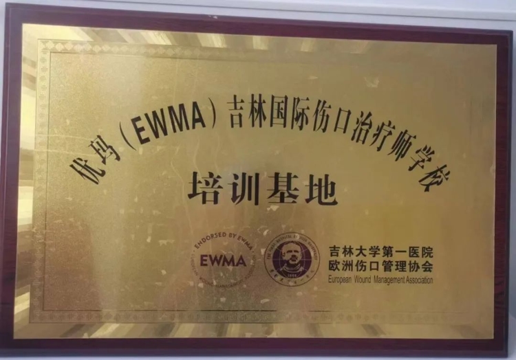 图片 4.jpg