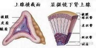图片 3.png