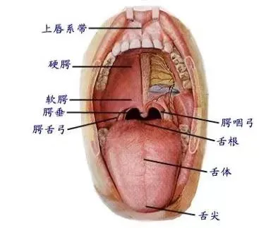 图片 3.png