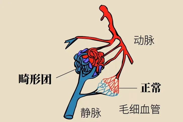 图片 5.png