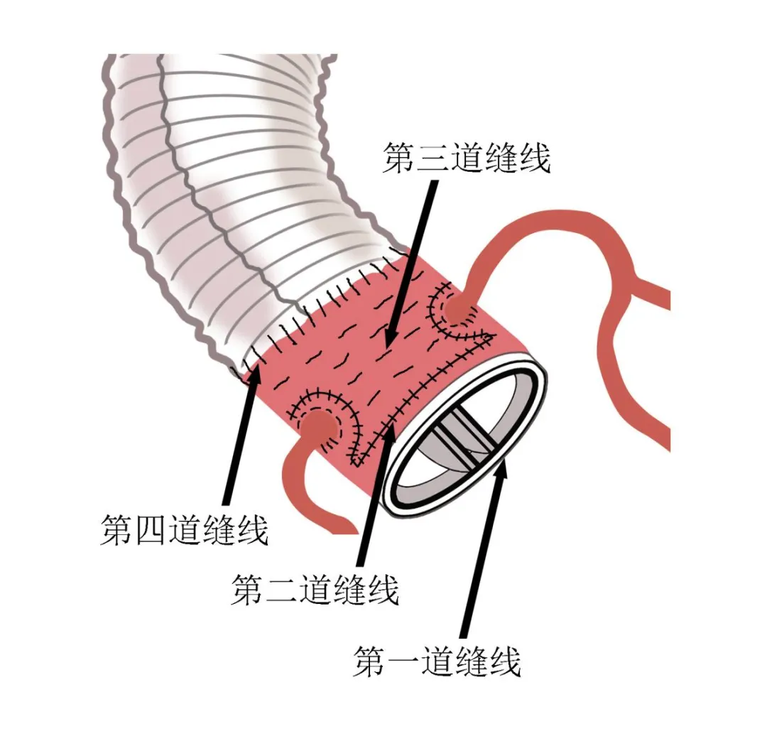 图片 4.png