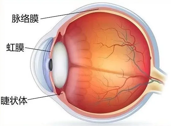 图片 3.png
