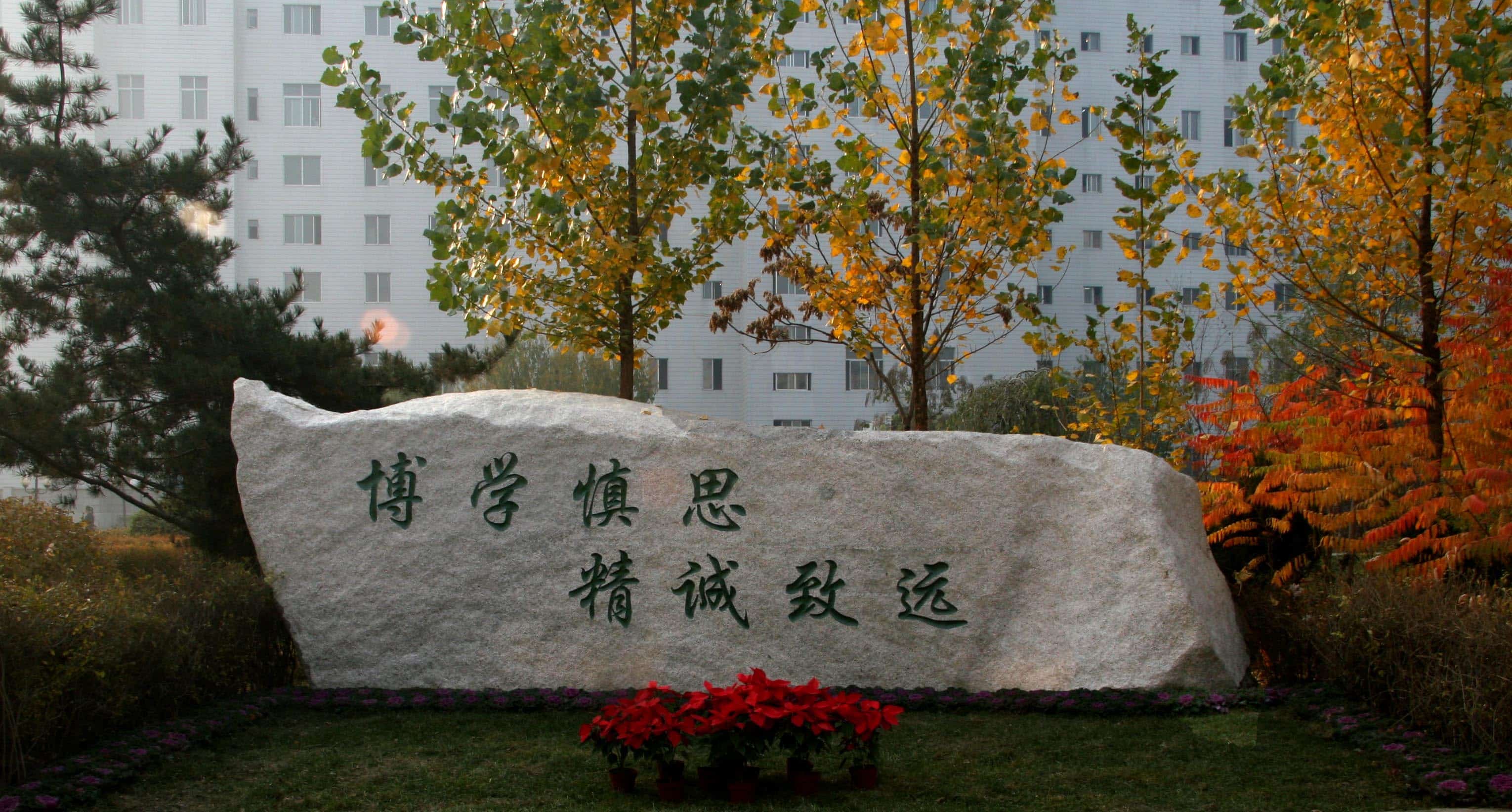 院训石1.jpg