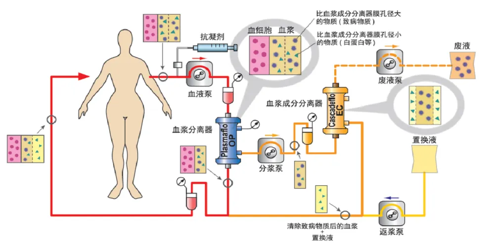 图片 4.png