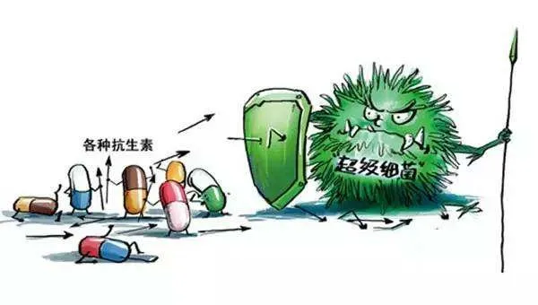 图片 2.png