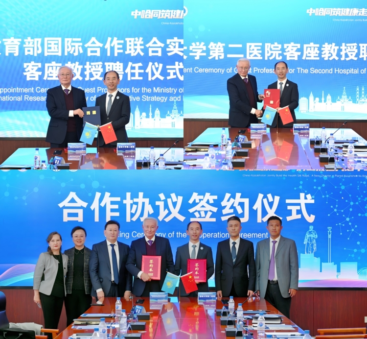 图片 8.jpg