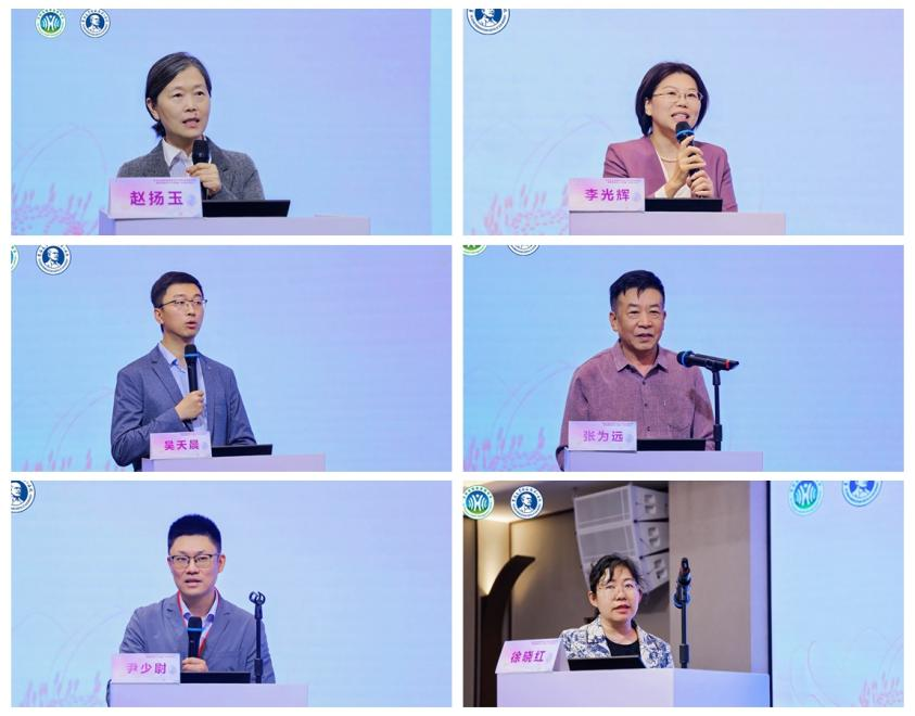 图片 10.png
