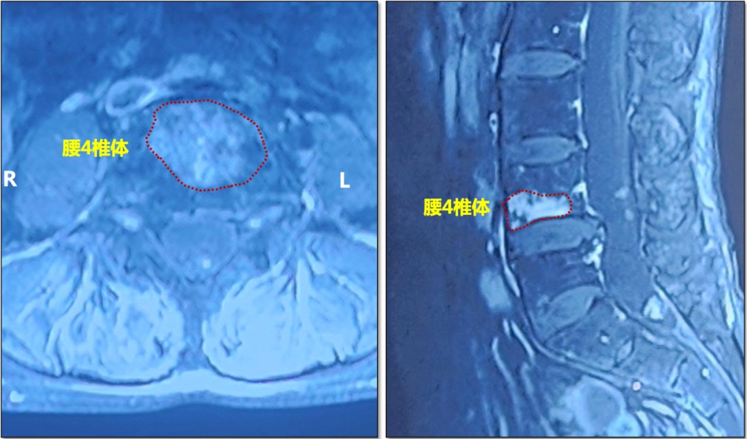 图片 2.jpg 图片 2.jpg