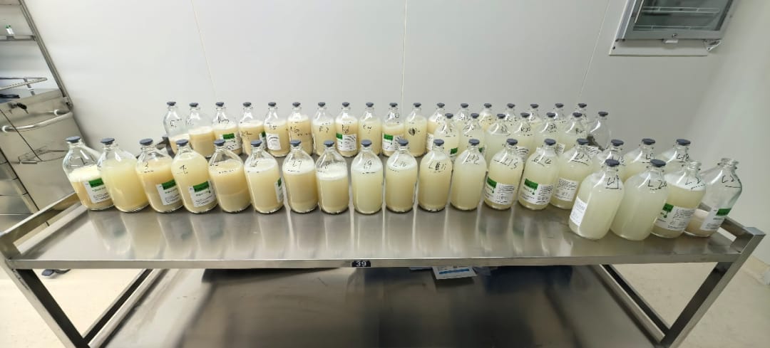 图片 3.jpg 图片 3.jpg