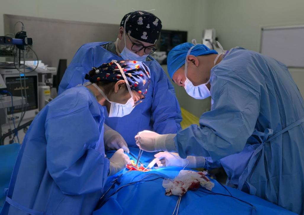 图片 7.jpg 图片 7.jpg