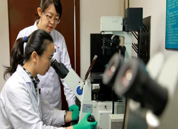 图片 10.png 图片 10.png