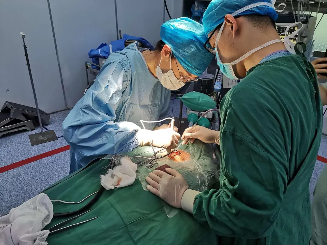 图片 2.jpg 图片 2.jpg