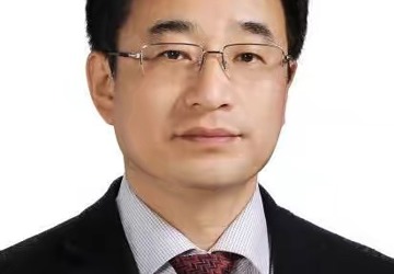 王辰（双聘院士）
