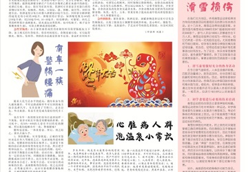 第四十五期3版（2013.02）