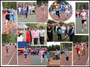 2014年5月15-16日， 我院荣获吉林大学第五十三届田径运动会教工组团体比赛亚军。（三 ）
